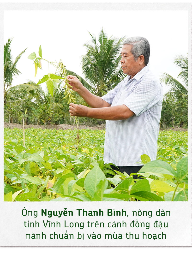 Xây nền móng cho nông nghiệp đậu nành bền vững - Ảnh 9.