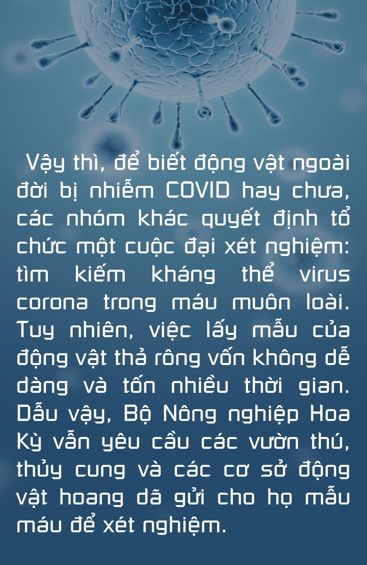 Không thể xem thường COVID-19 ở động vật - Ảnh 4.