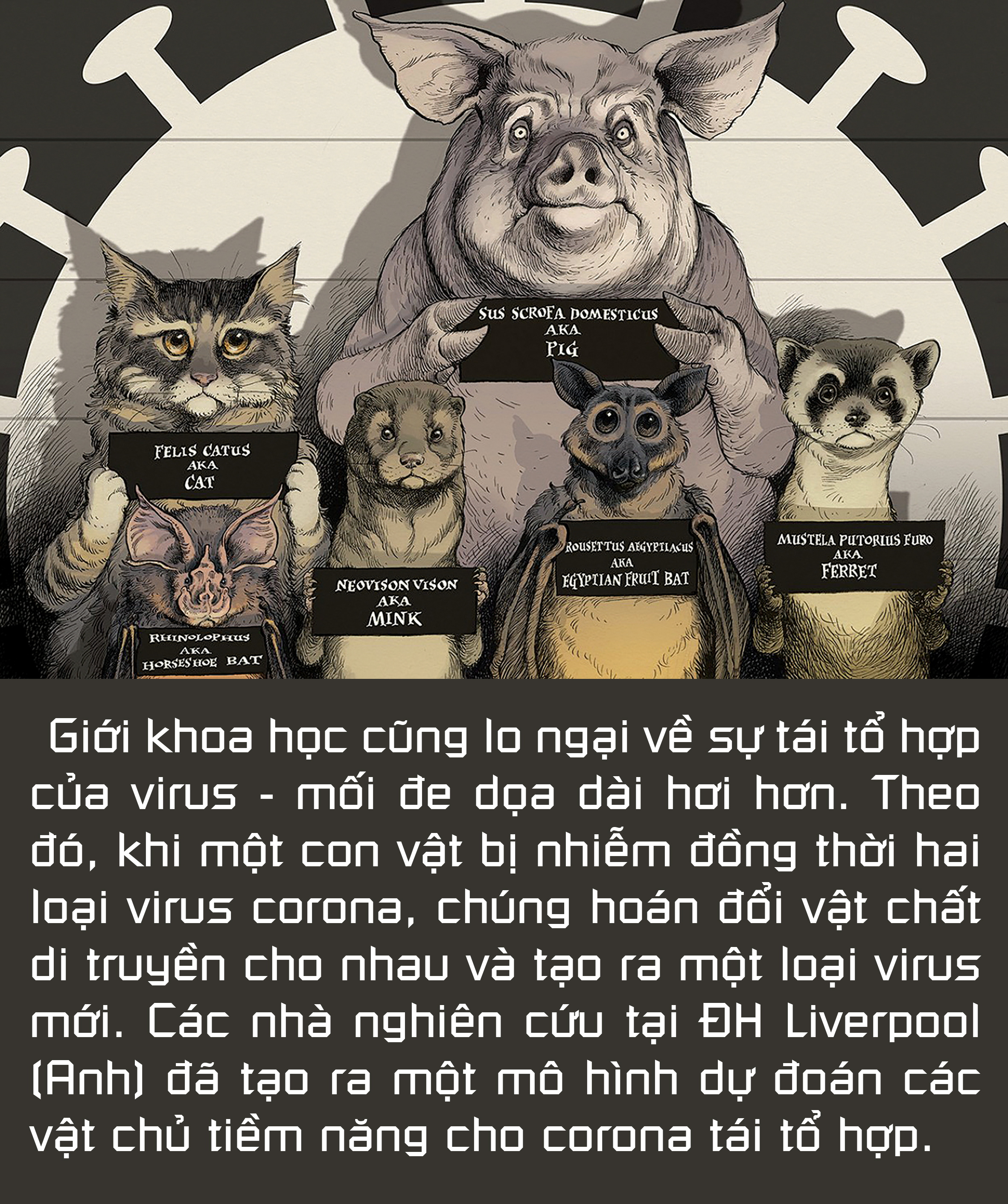 Không thể xem thường COVID-19 ở động vật - Ảnh 7.