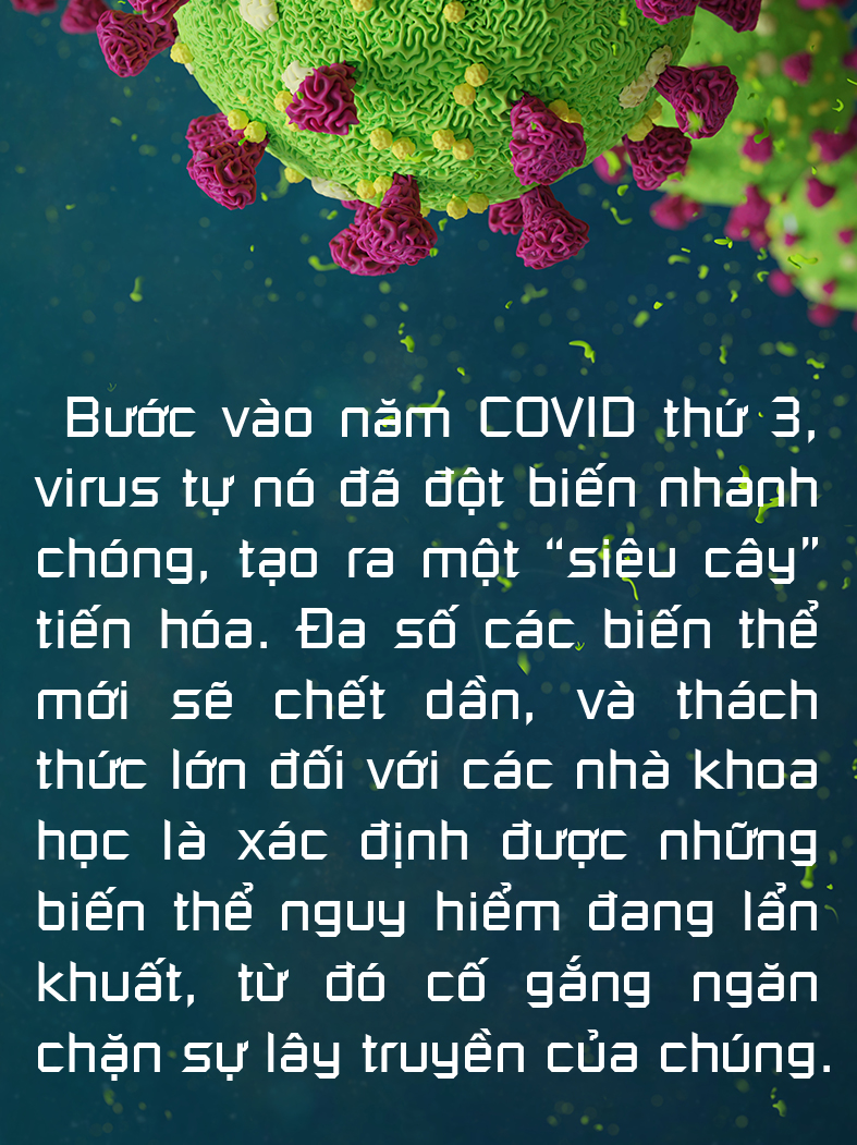 Không thể xem thường COVID-19 ở động vật - Ảnh 9.