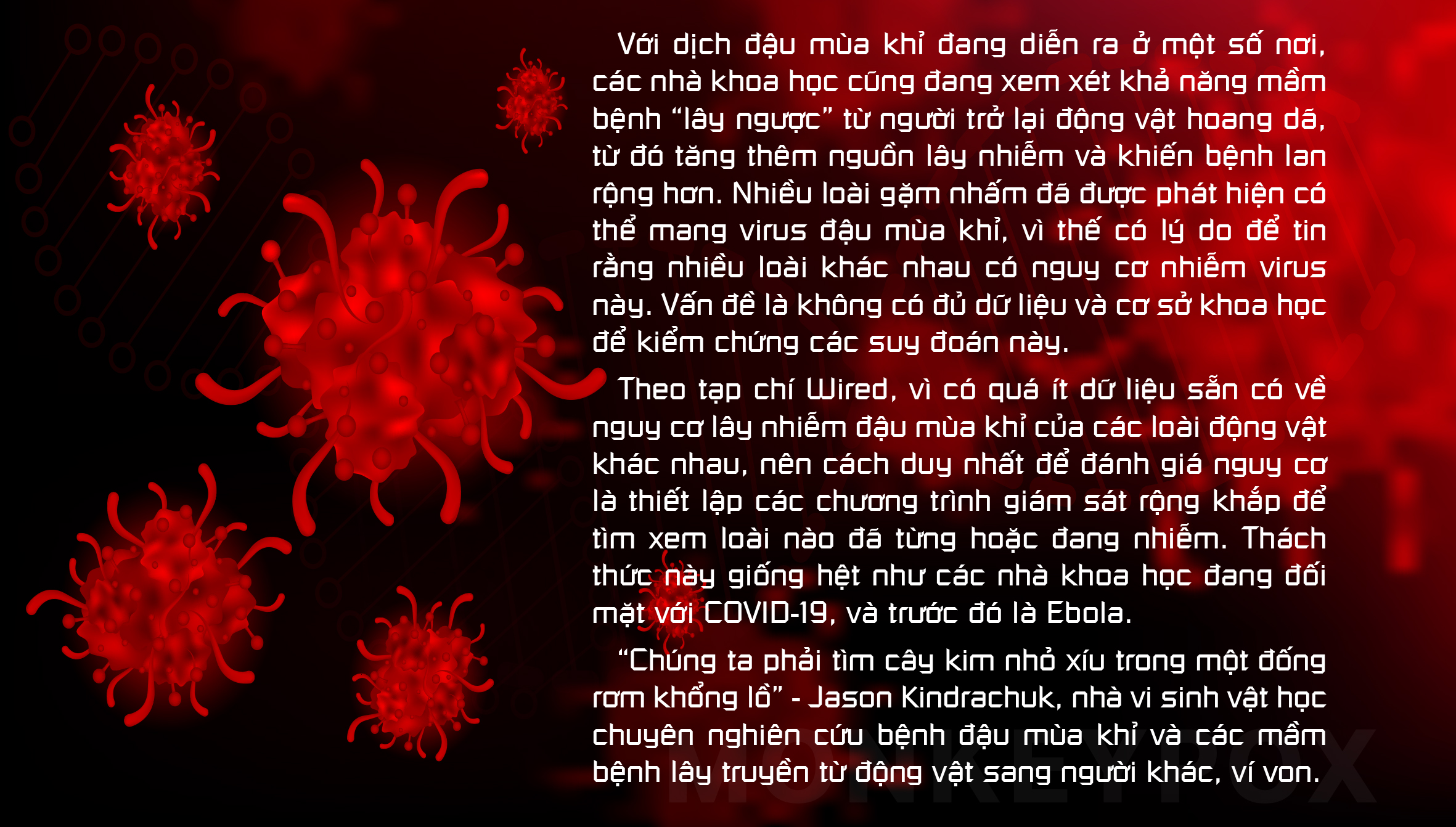 Không thể xem thường COVID-19 ở động vật - Ảnh 11.