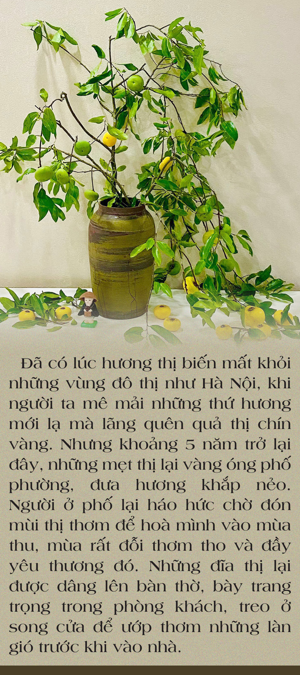 Mùa thu, mùa thơm,  mùa thương - Ảnh 5.