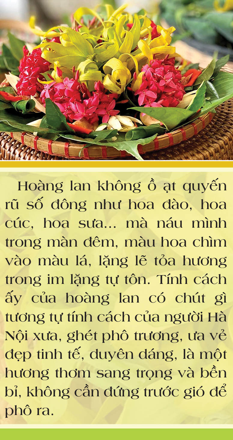 Mùa thu, mùa thơm,  mùa thương - Ảnh 8.