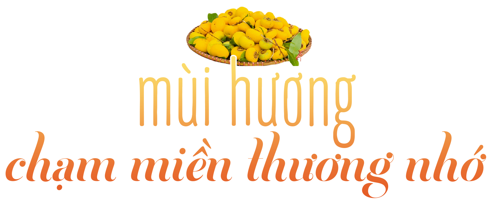 Mùa thu, mùa thơm,  mùa thương - Ảnh 1.