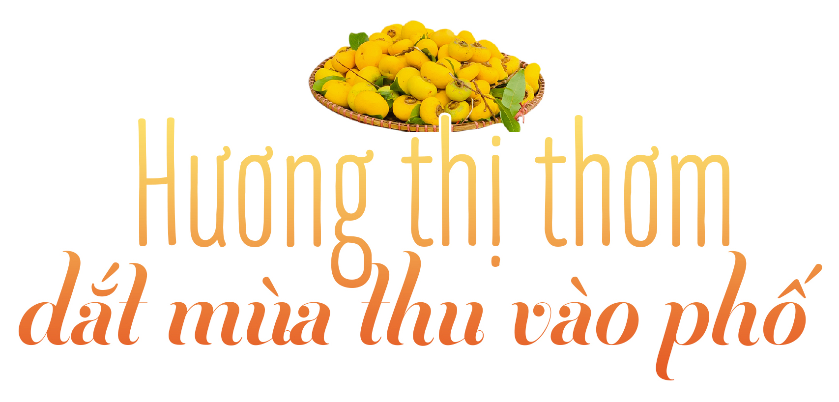 Mùa thu, mùa thơm,  mùa thương - Ảnh 4.