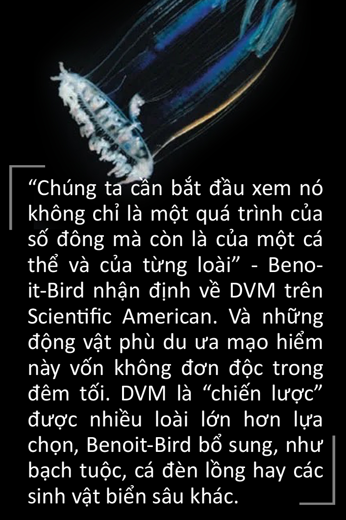 Hành trình bơi lên vào ban đêm rồi rút lui khi trời sáng - Ảnh 6.