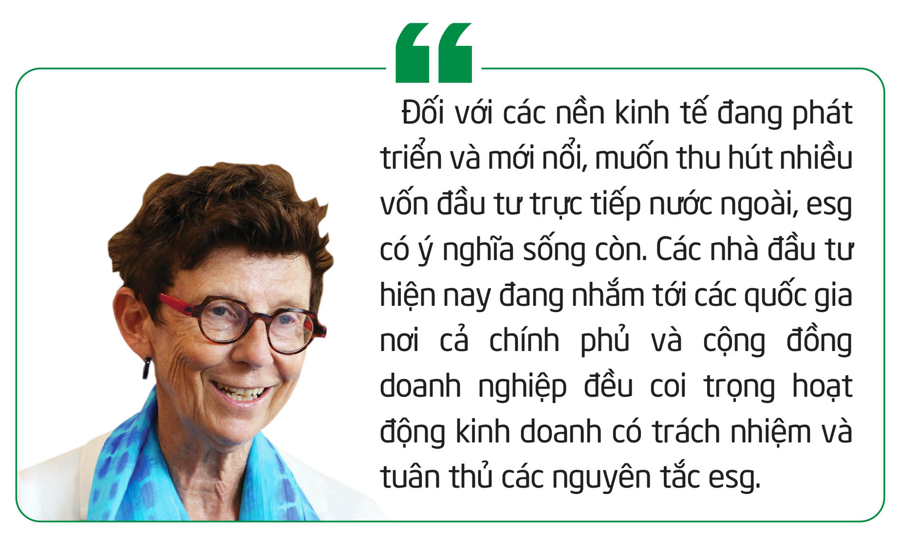 Các nhà ngoại giao, lãnh đạo Ngân hàng Thế giới hiến kế để Việt Nam phát triển xanh - Ảnh 11.