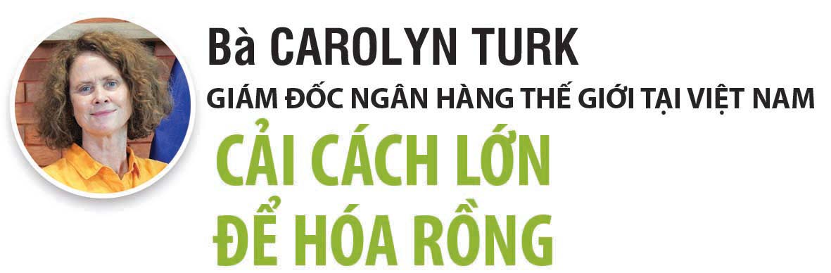 Các nhà ngoại giao, lãnh đạo Ngân hàng Thế giới hiến kế để Việt Nam phát triển xanh - Ảnh 7.