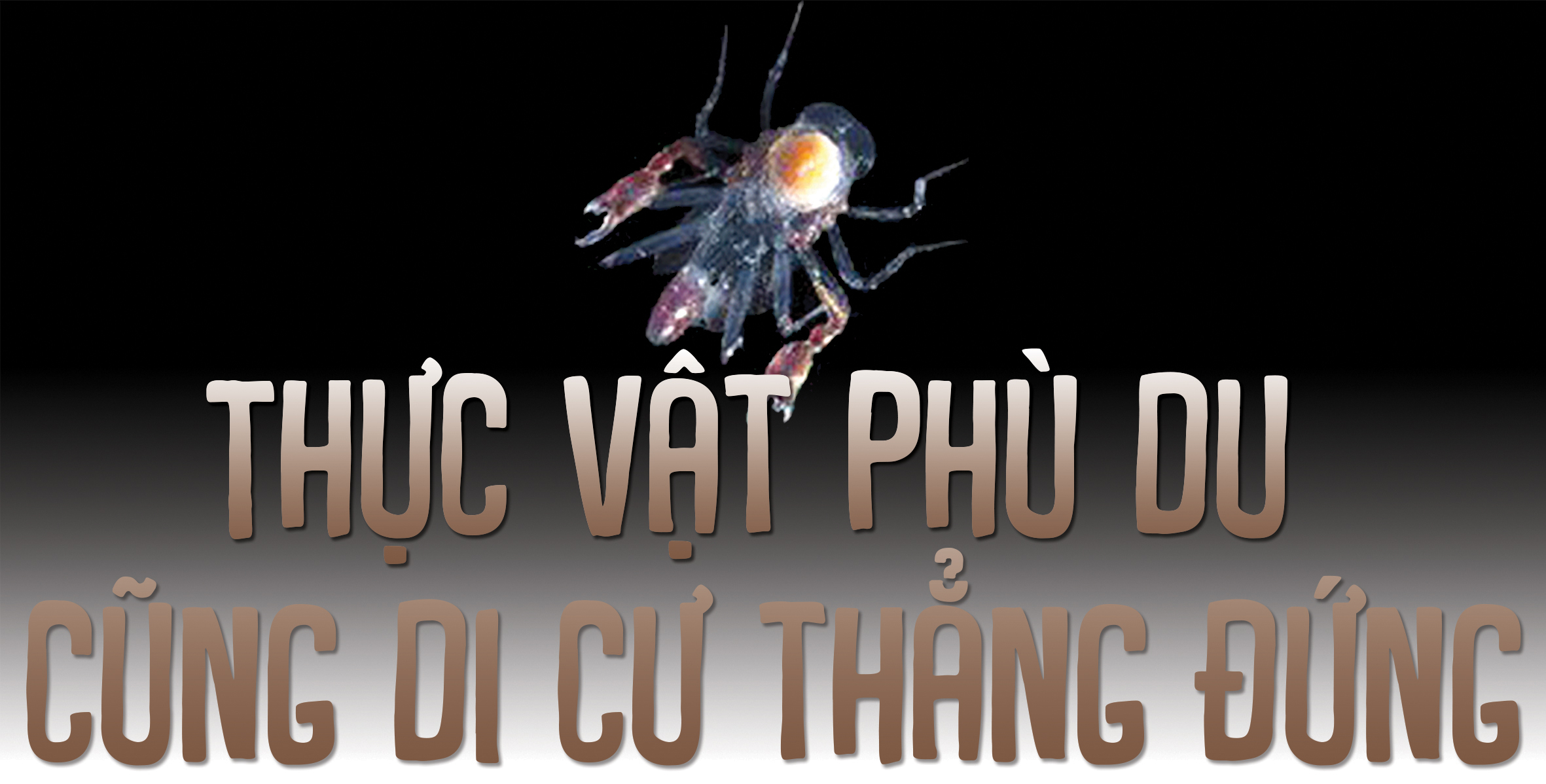 Hành trình bơi lên vào ban đêm rồi rút lui khi trời sáng - Ảnh 7.