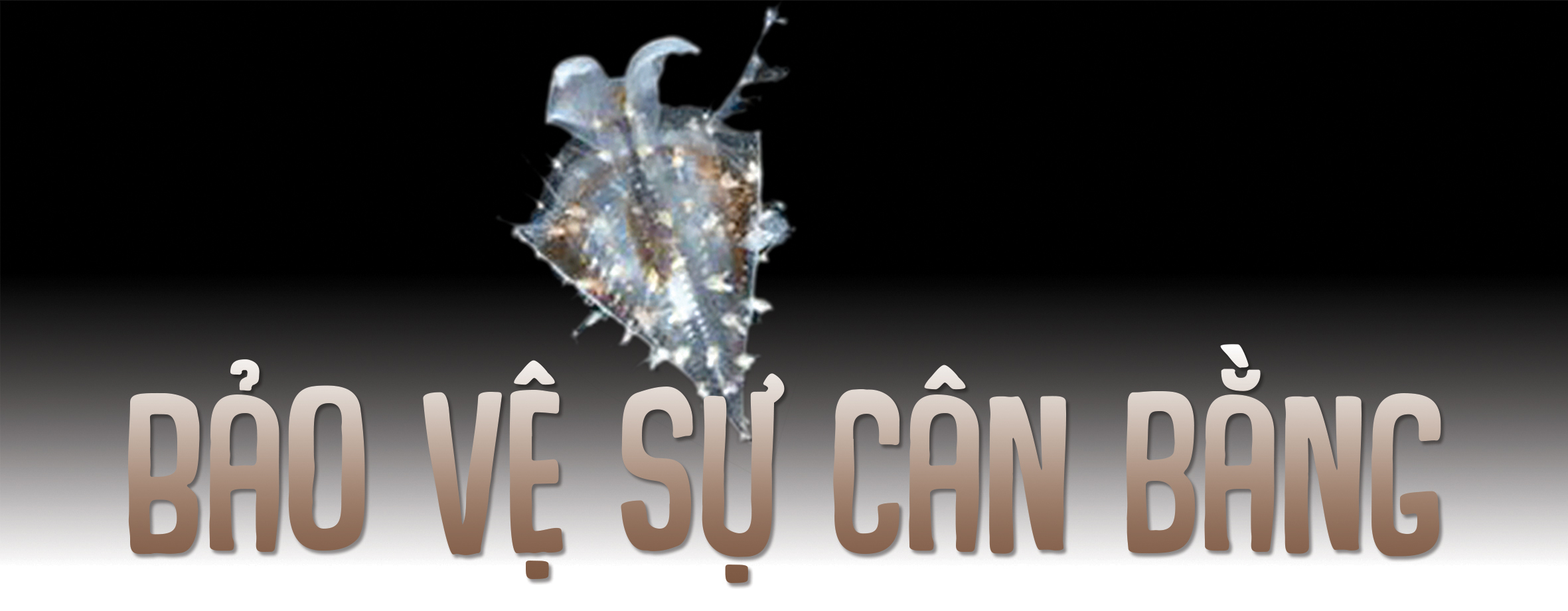Hành trình bơi lên vào ban đêm rồi rút lui khi trời sáng - Ảnh 9.