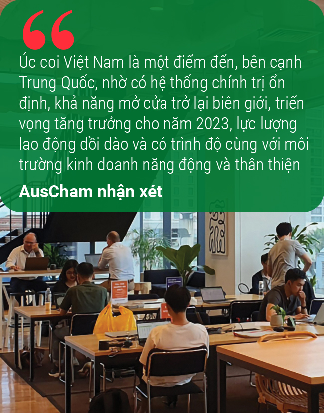 Việt Nam đất lành chim đậu - Ảnh 14.