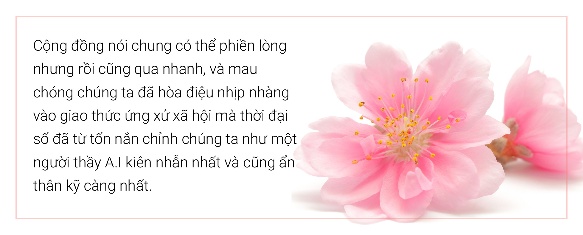 Bàn tròn: văn hóa ứng xử trong thời đại số - Ảnh 20.