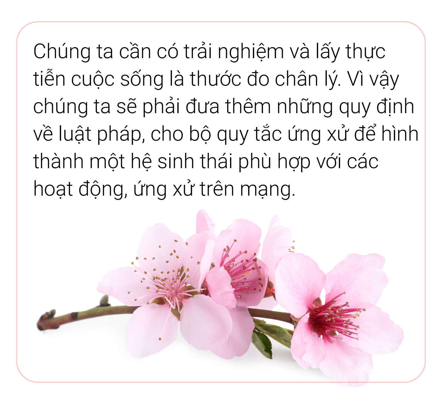 Bàn tròn: văn hóa ứng xử trong thời đại số - Ảnh 6.