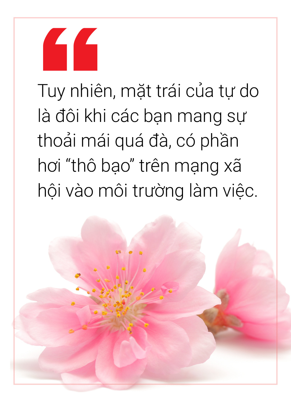 Bàn tròn: văn hóa ứng xử trong thời đại số - Ảnh 10.