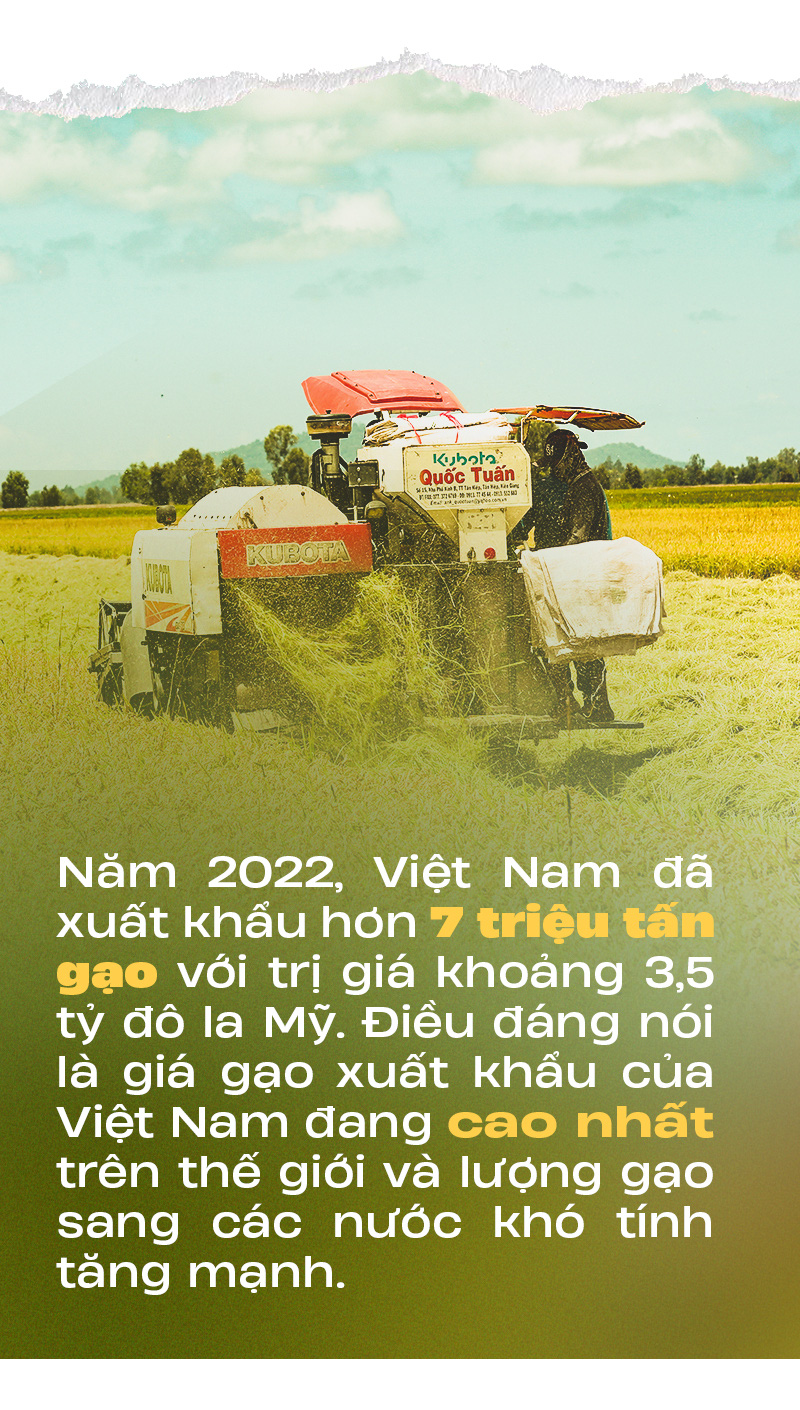 Gạo Việt Nam tự tin xuất hiện trên kệ hàng thế giới - Ảnh 3.