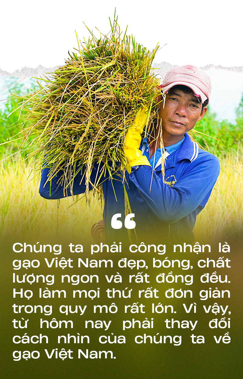 Gạo Việt Nam tự tin xuất hiện trên kệ hàng thế giới - Ảnh 6.