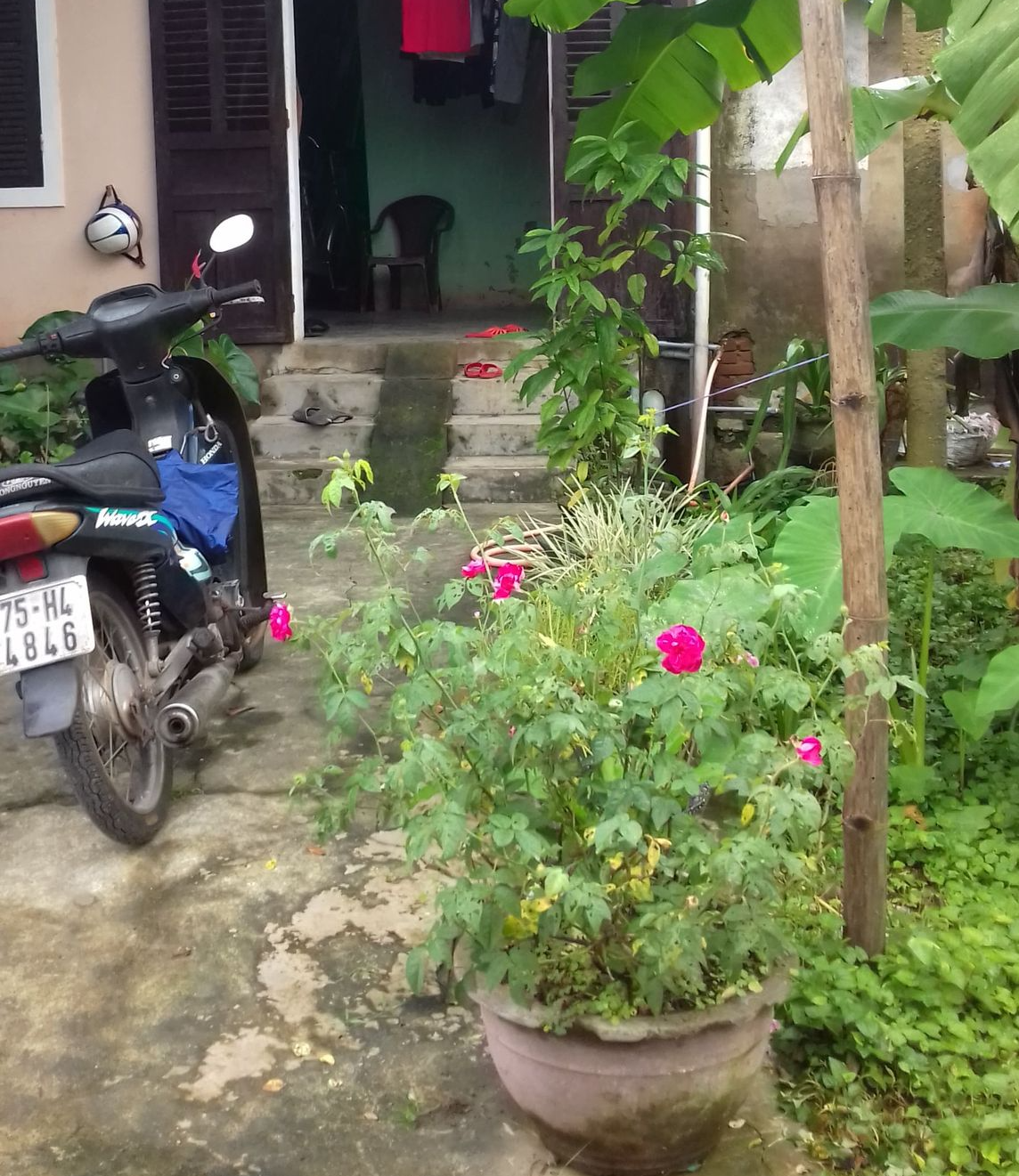Một góc hiên nhà vẫn ngóng em tôi - Ảnh 2. Cuộc thi viết về nhà