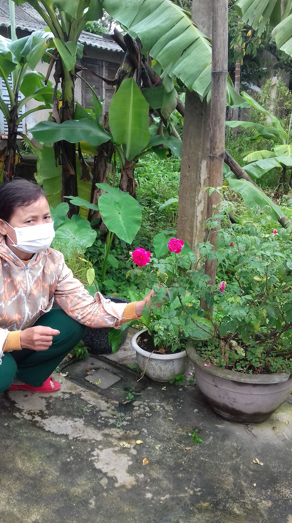 Một góc hiên nhà vẫn ngóng em tôi - Ảnh 1. Ảnh bài về nhà Mẹ vẫn ngóng bóng dáng em nơi quê nhà