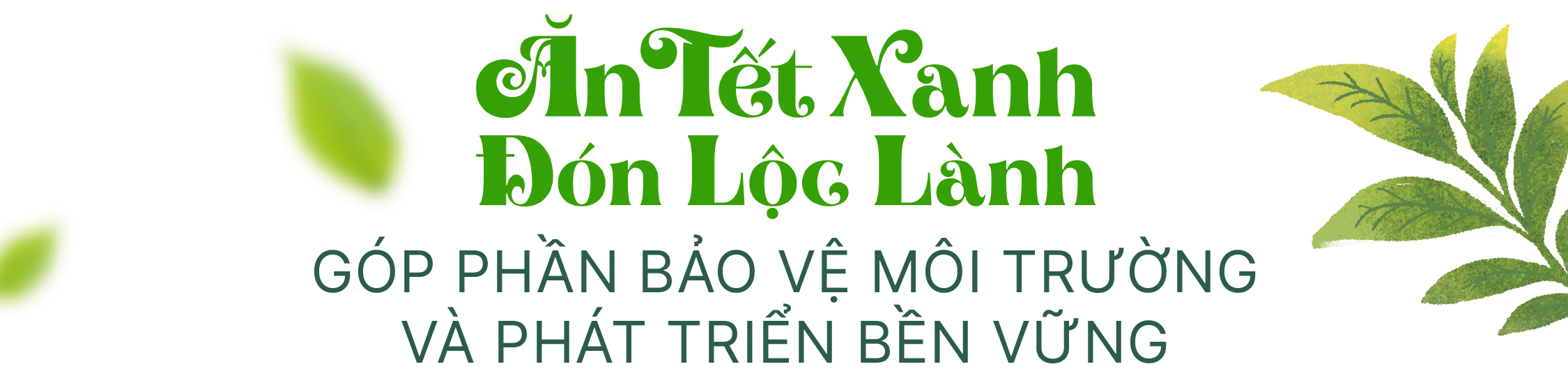 ‘Đón Tết chuẩn xanh’ và lời kêu gọi bảo vệ môi trường từ những điều đơn giản - Ảnh 8.