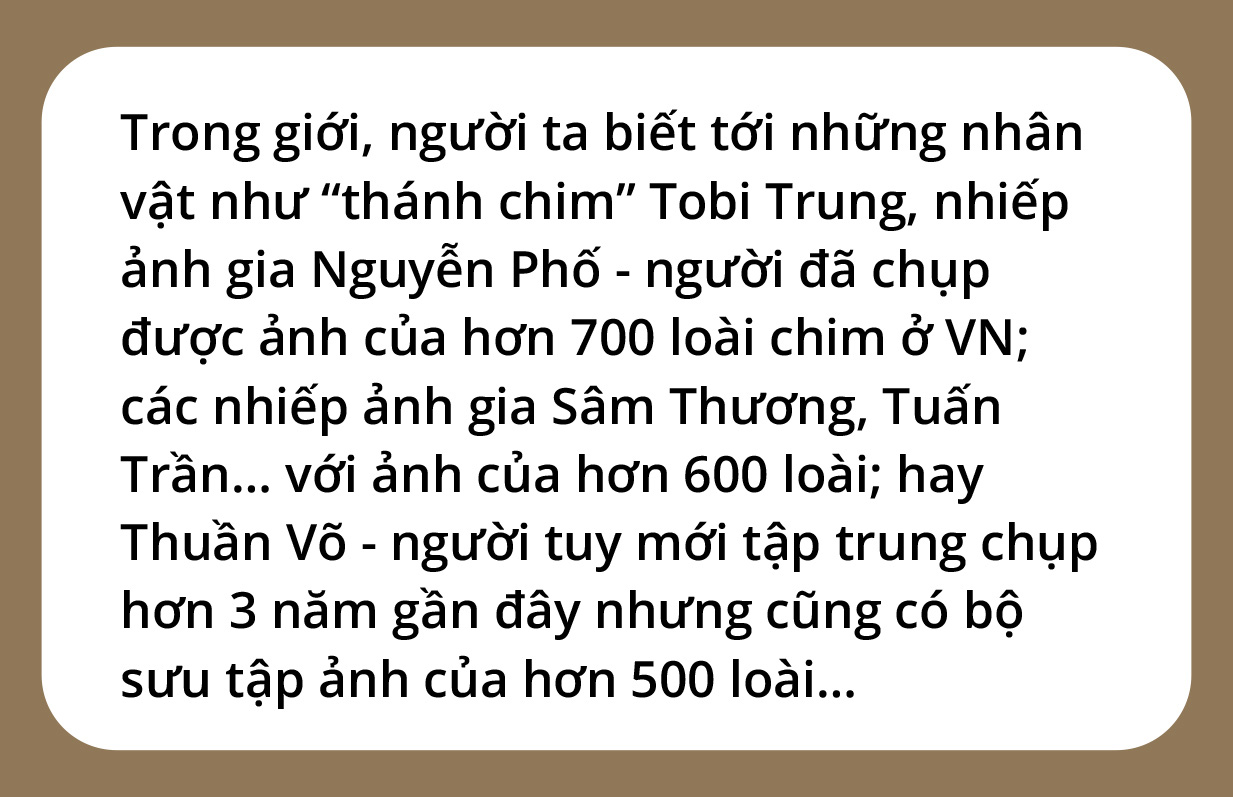 Một cánh chim, một khoảnh khắc và một nỗi lo... - Ảnh 1.