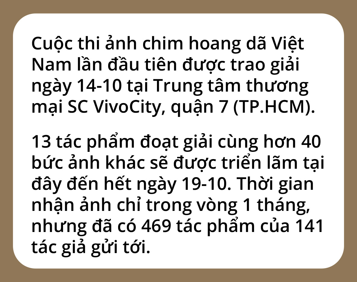 Một cánh chim, một khoảnh khắc và một nỗi lo... - Ảnh 3.