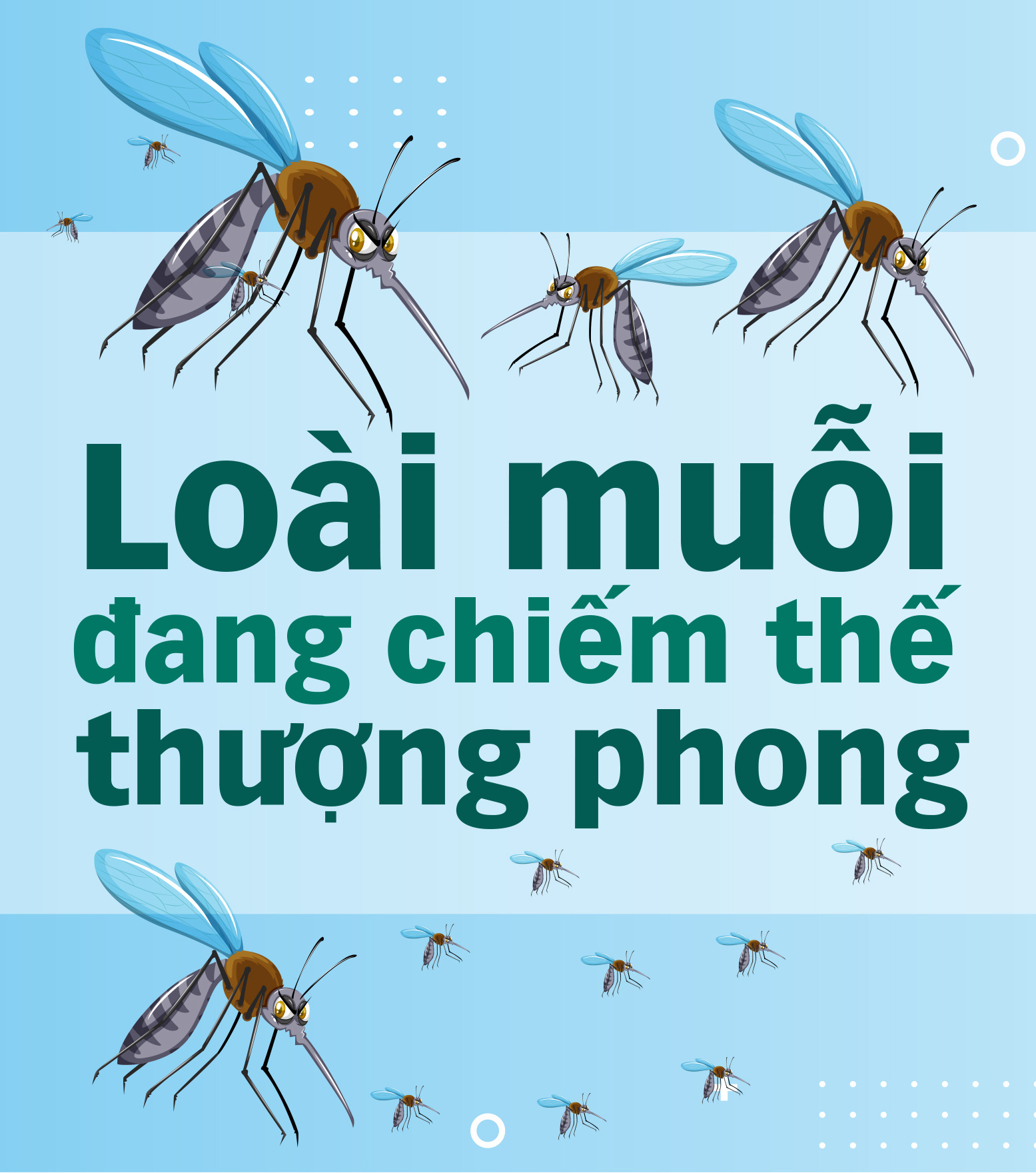 Vì sao muỗi ưu ái tôi đến vậy? - Ảnh 7.