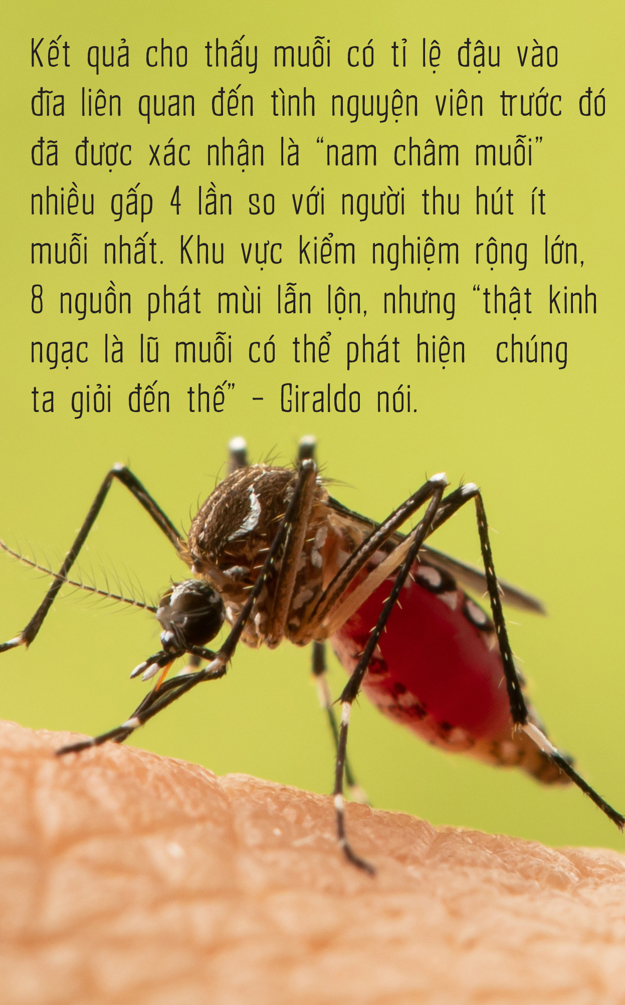 Vì sao muỗi ưu ái tôi đến vậy? - Ảnh 2.