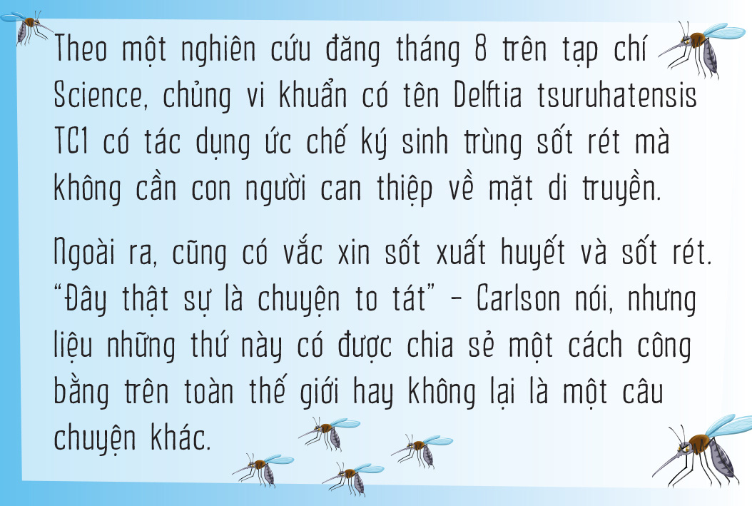 Vì sao muỗi ưu ái tôi đến vậy? - Ảnh 18.