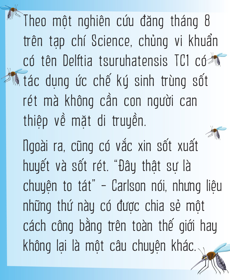 Vì sao muỗi ưu ái tôi đến vậy? - Ảnh 18.