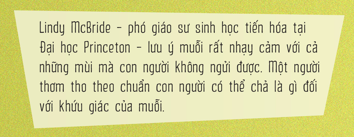 Vì sao muỗi ưu ái tôi đến vậy? - Ảnh 3.