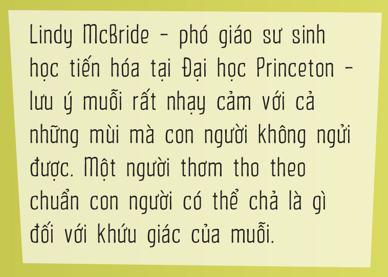 Vì sao muỗi ưu ái tôi đến vậy? - Ảnh 3.