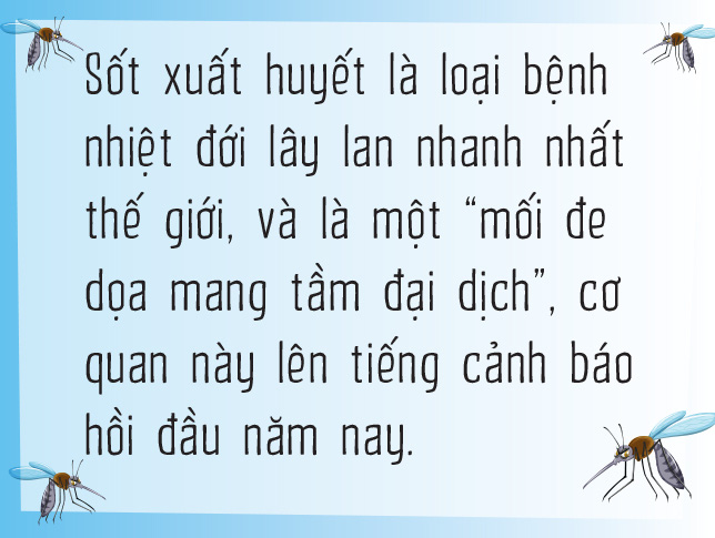 Vì sao muỗi ưu ái tôi đến vậy? - Ảnh 10.