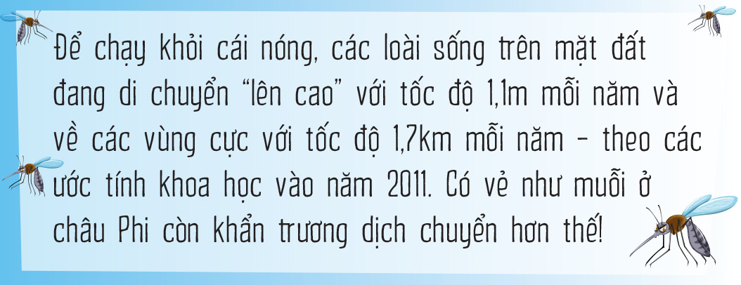 Vì sao muỗi ưu ái tôi đến vậy? - Ảnh 12.