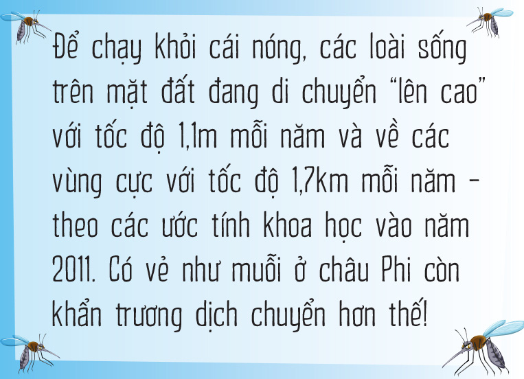 Vì sao muỗi ưu ái tôi đến vậy? - Ảnh 12.
