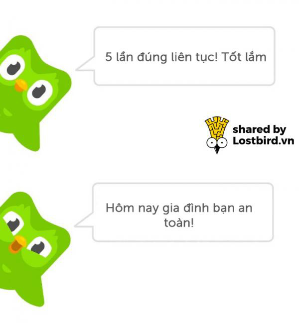 Cười ngất với ảnh chế linh vật Duolingo- Ảnh 7.