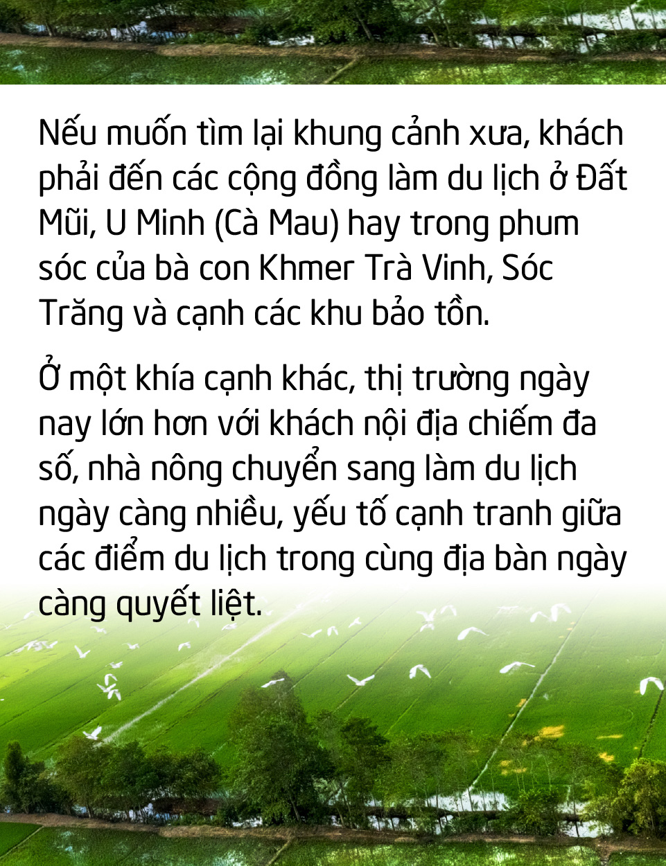 Du lịch cộng đồng miền Tây: Về nghe tiếng ếch kêu... - Ảnh 8.