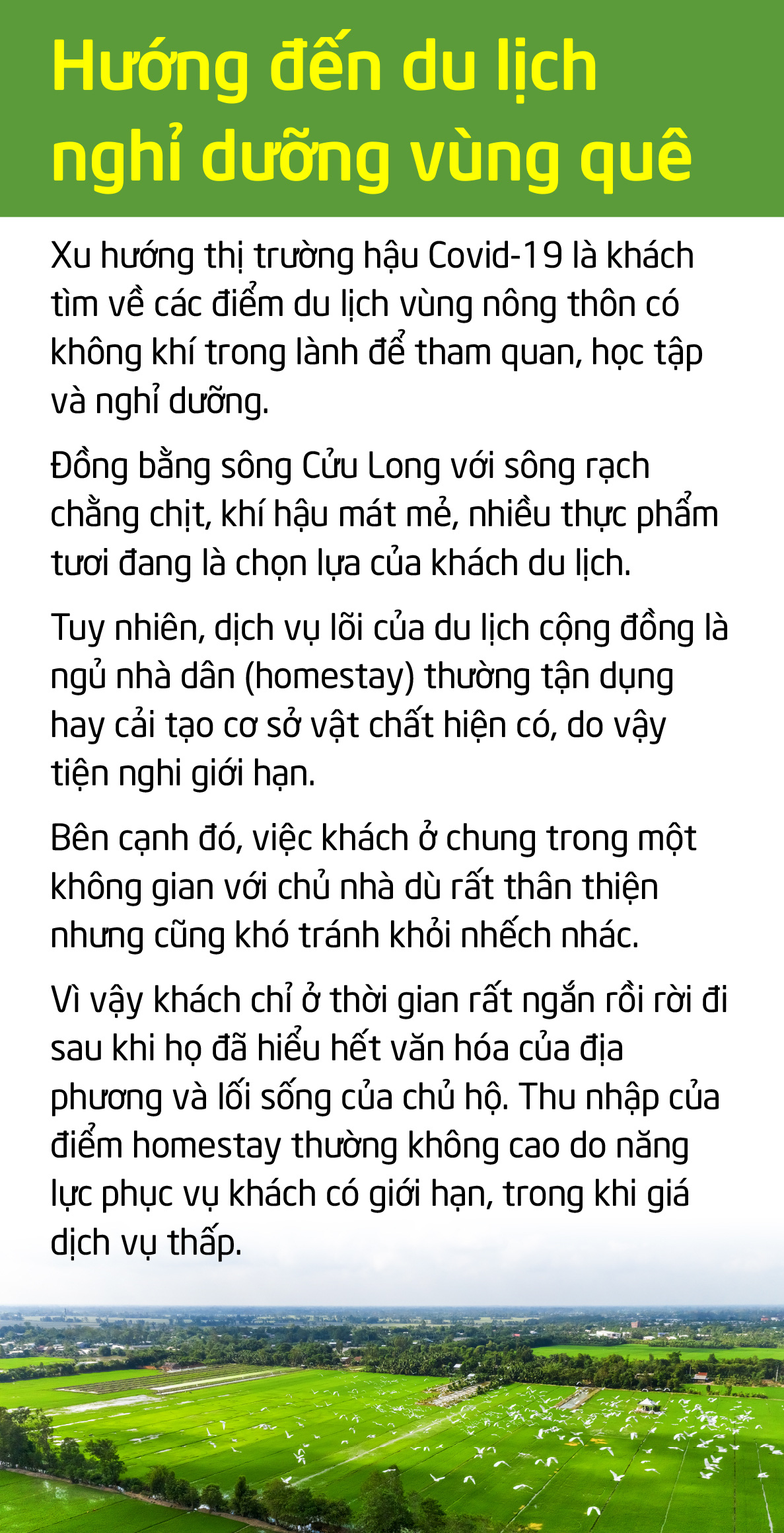 Du lịch cộng đồng miền Tây: Về nghe tiếng ếch kêu... - Ảnh 10.