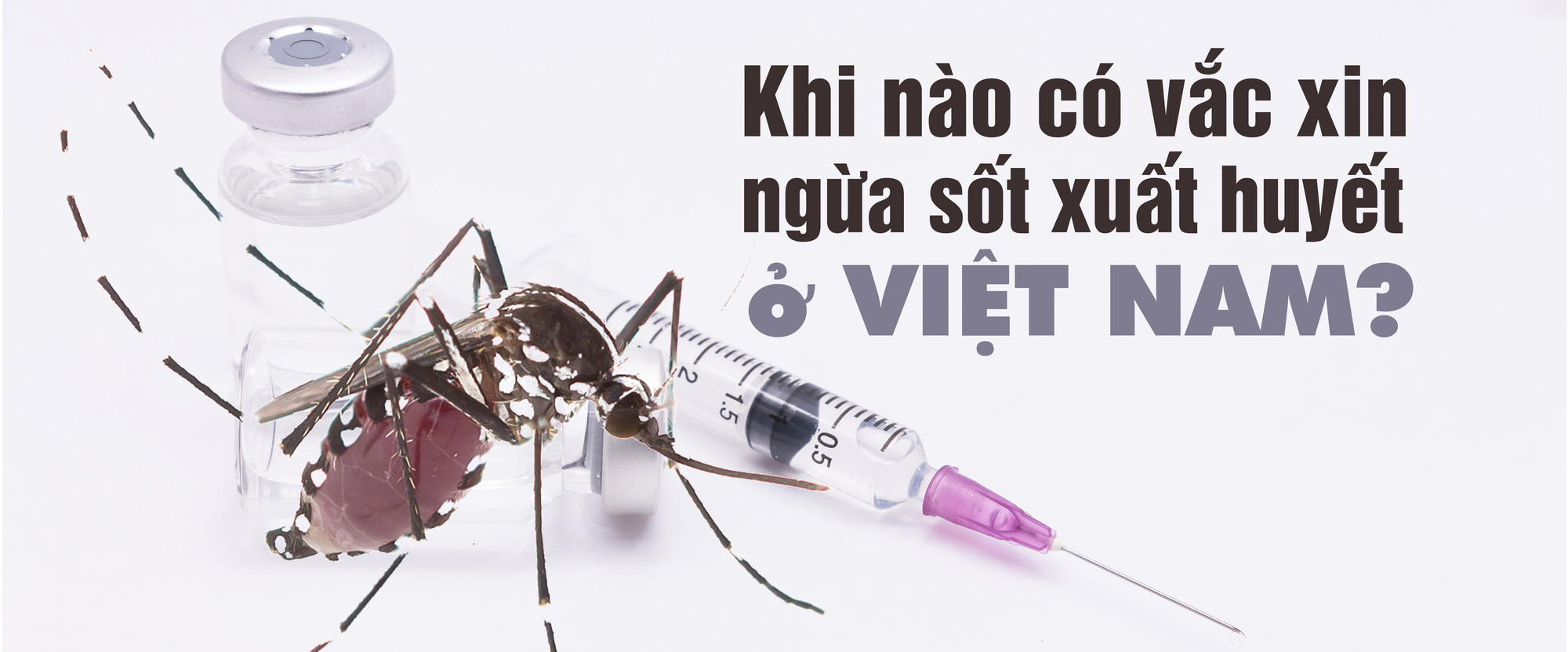 Vắc xin sốt xuất huyết: Con đường chông gai - Ảnh 12.