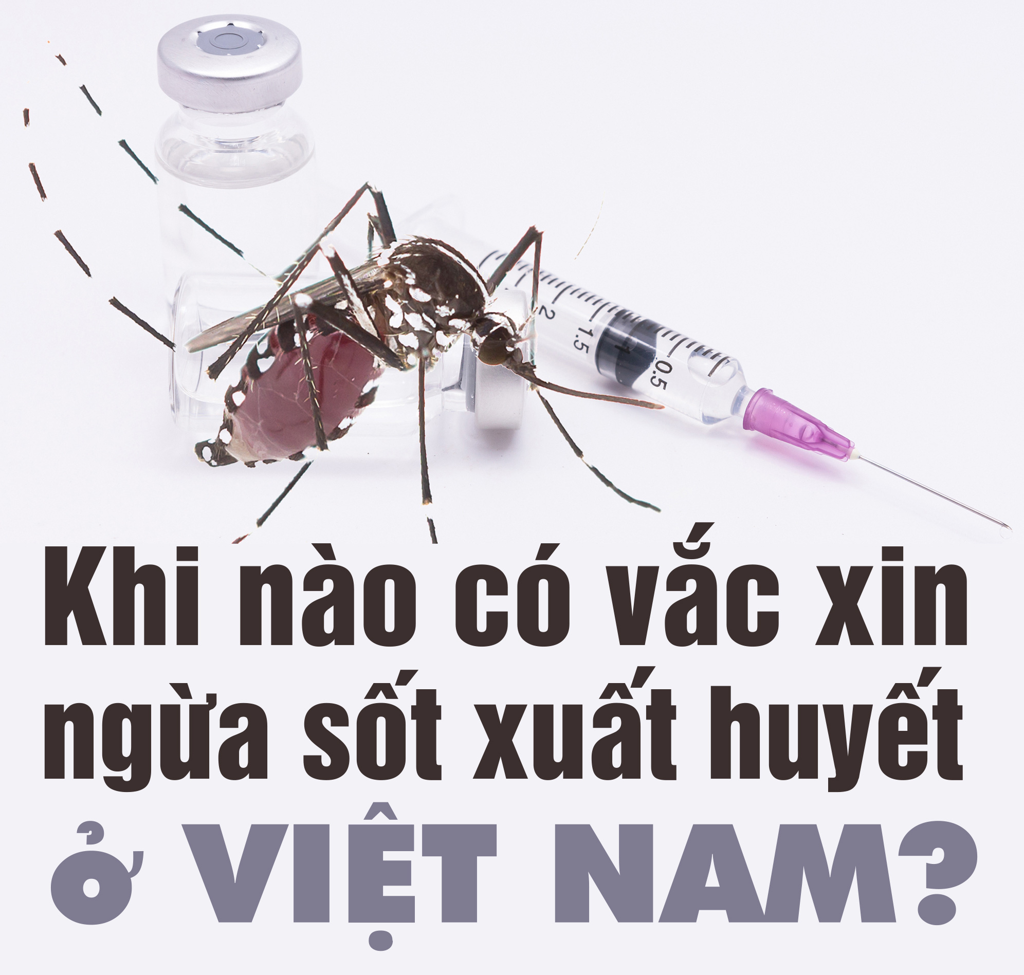 Vắc xin sốt xuất huyết: Con đường chông gai - Ảnh 12.