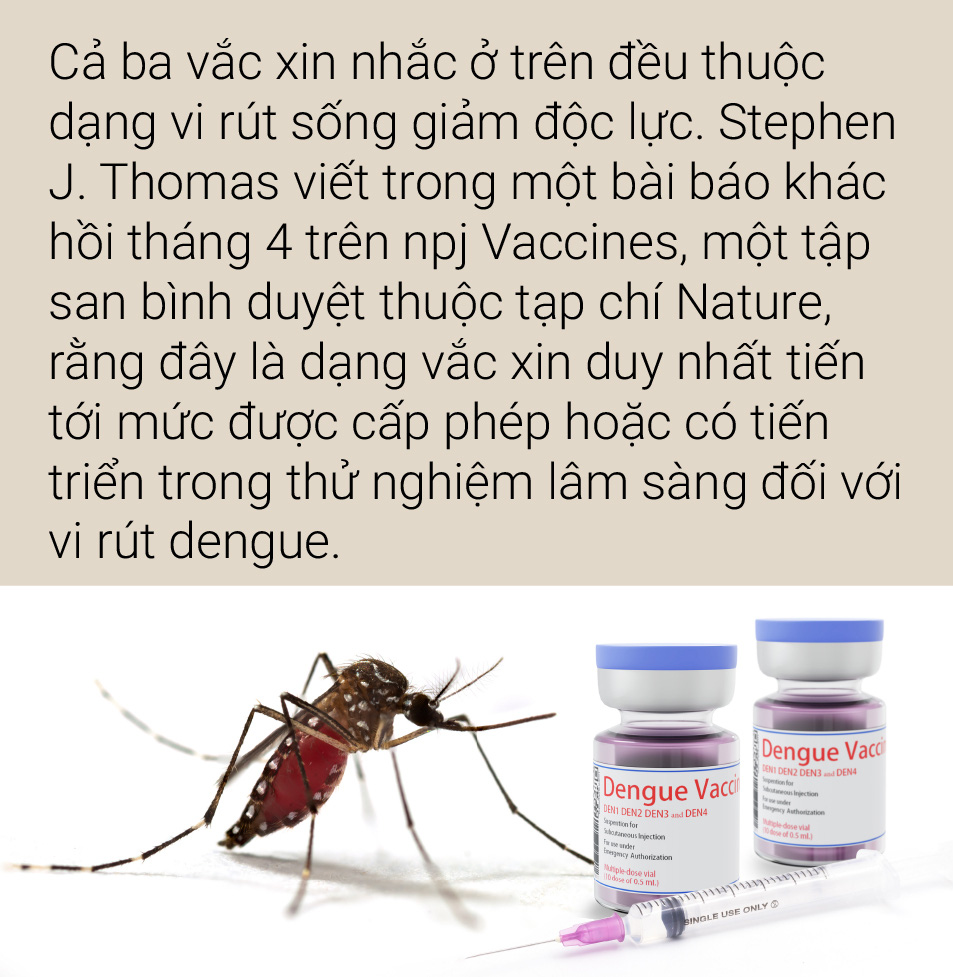Vắc xin sốt xuất huyết: Con đường chông gai - Ảnh 3.