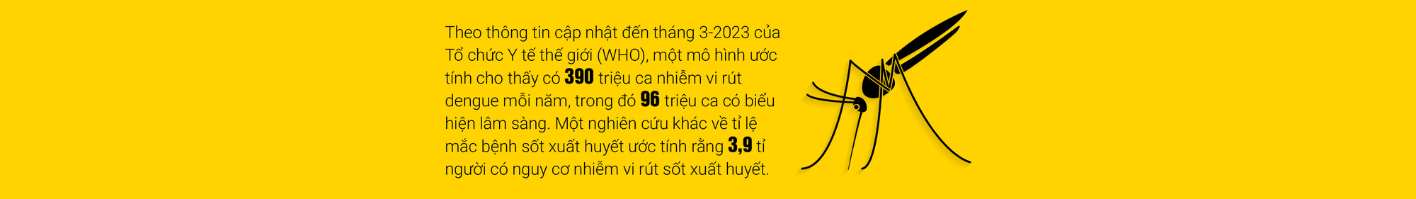 Vắc xin sốt xuất huyết: Con đường chông gai - Ảnh 6.