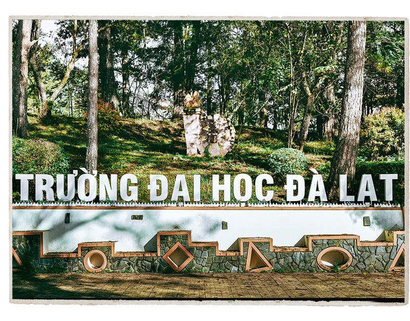 Trường đại học Đà Lạt, Hành trình 65 năm Thụ nhân, Khai phóng, Bản sắc - Ảnh 4.