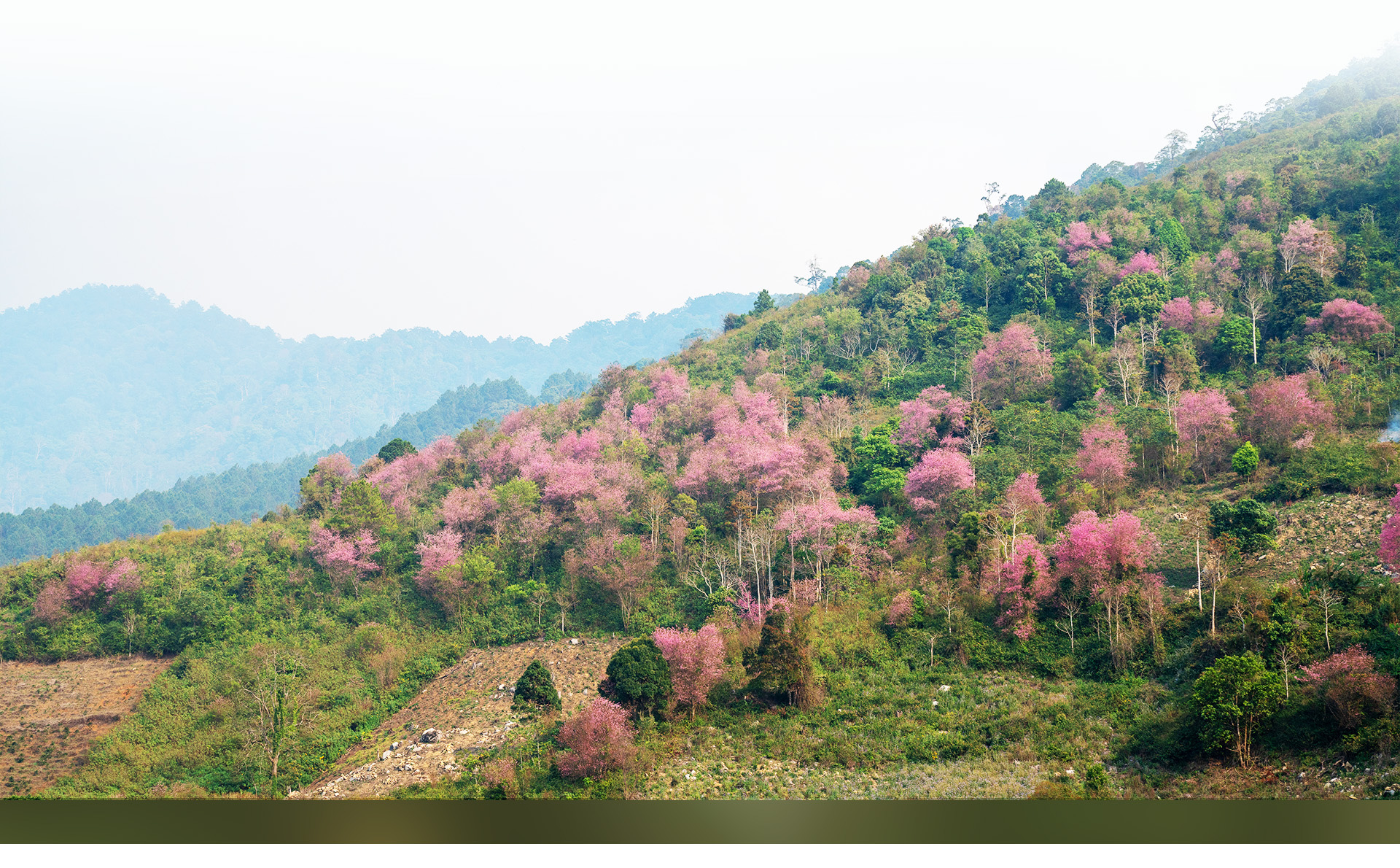 Hoa hậu Ngọc Hân: Chiều sâu của Đà Lạt sẽ níu giữ con người- Ảnh 17.