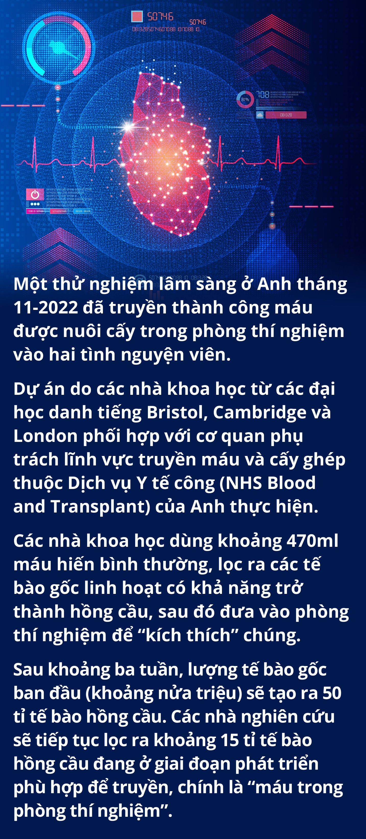 Thiếu máu: Trăm sự tại cái túi đựng?- Ảnh 16.
