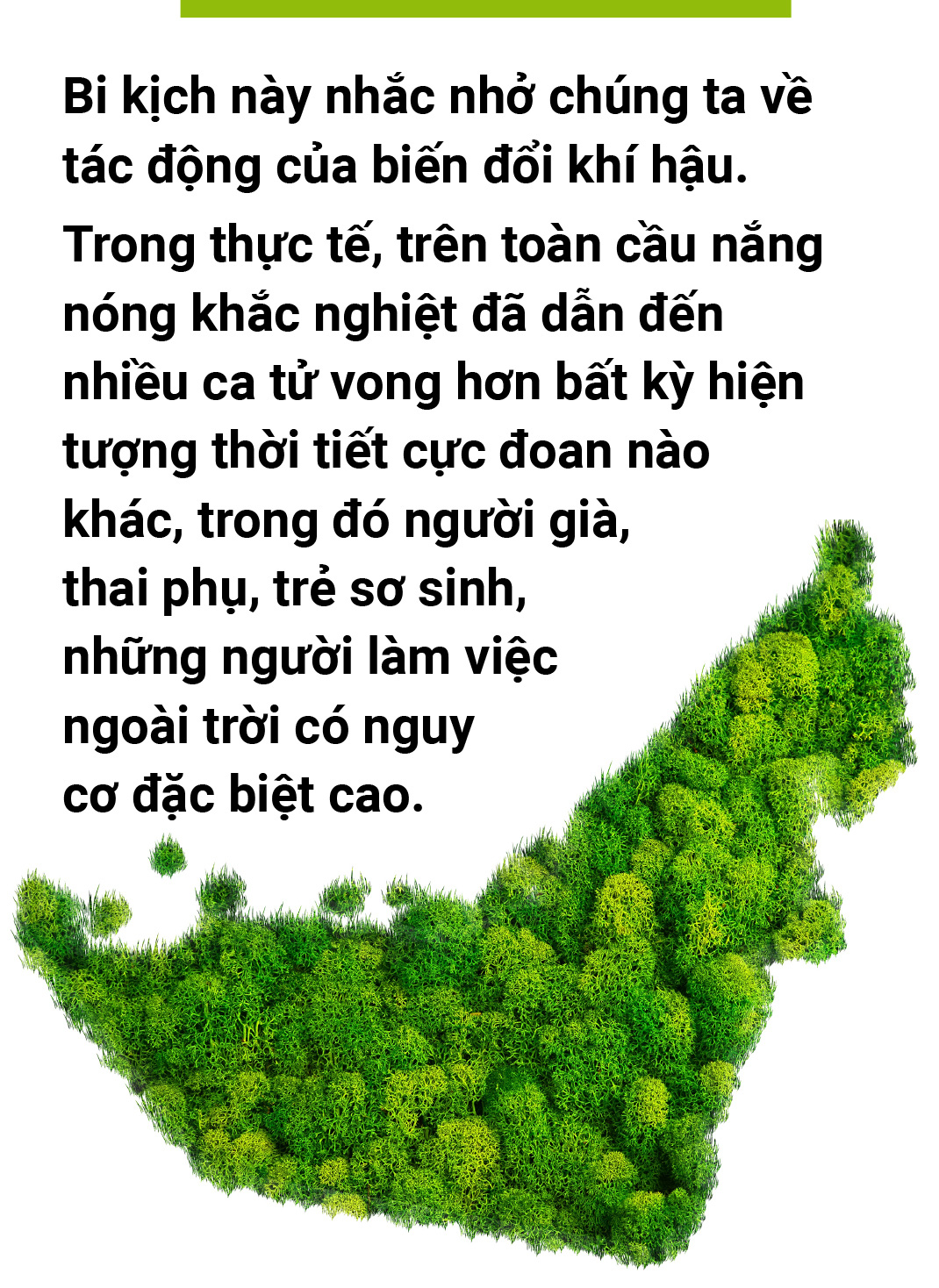 Người chẳng thảnh thơi khi đất trời không khỏe - Ảnh 1.