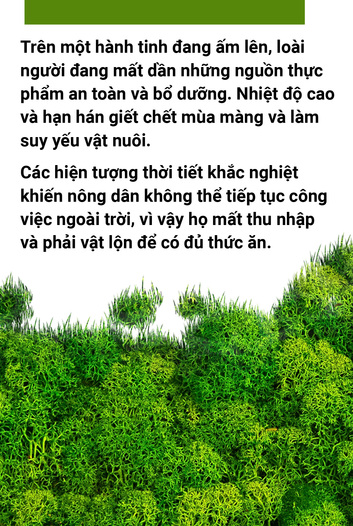 Người chẳng thảnh thơi khi đất trời không khỏe - Ảnh 7.