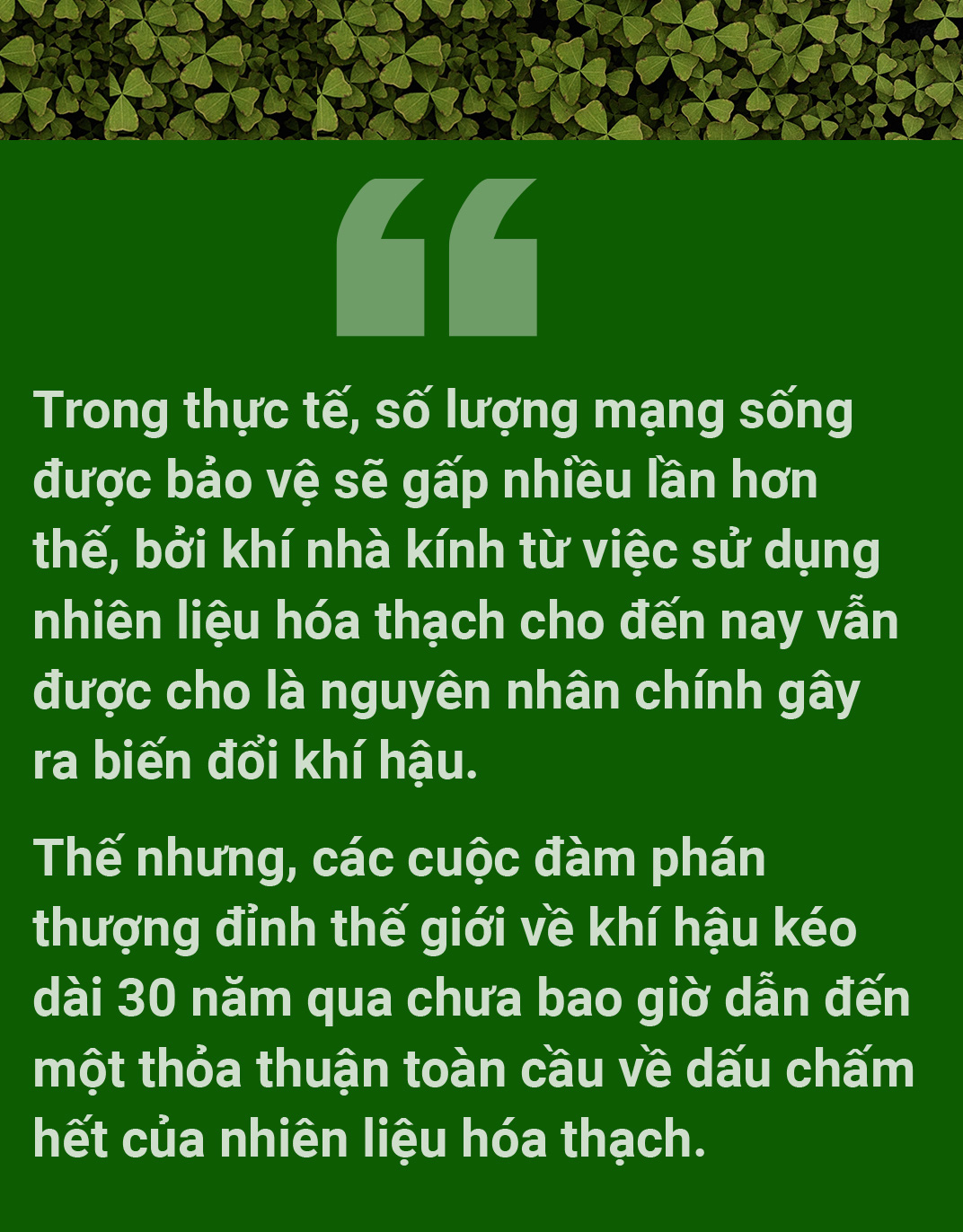 Người chẳng thảnh thơi khi đất trời không khỏe - Ảnh 11.