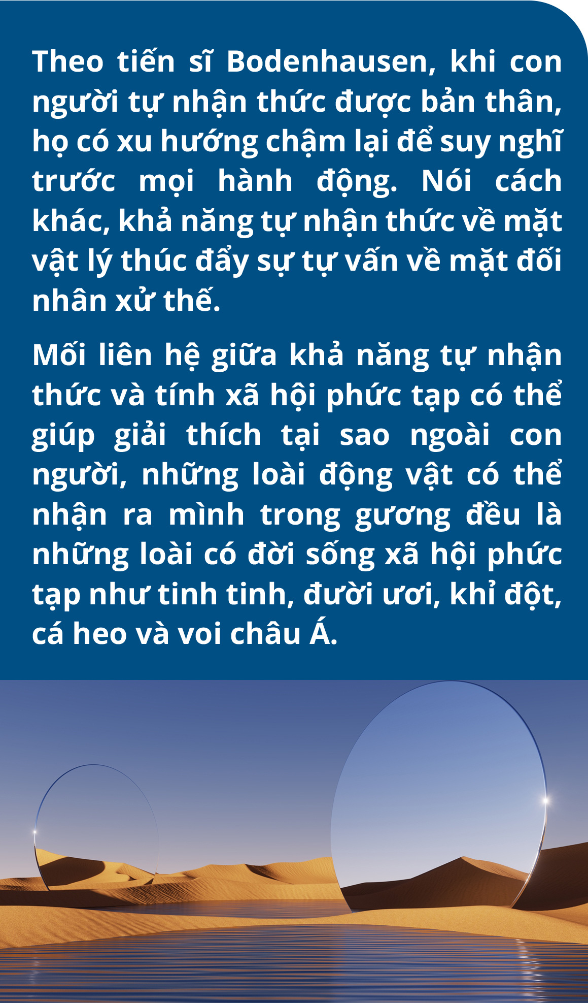 Thấy gì qua những tấm gương soi- Ảnh 7.