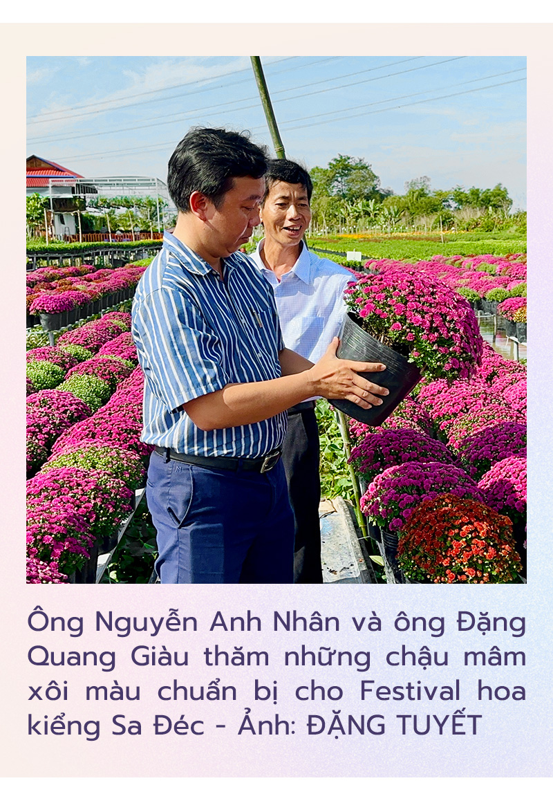 Hàng ngàn giỏ cúc mâm xôi nhiều màu cung ứng Festival hoa kiểng Sa Đéc- Ảnh 4.