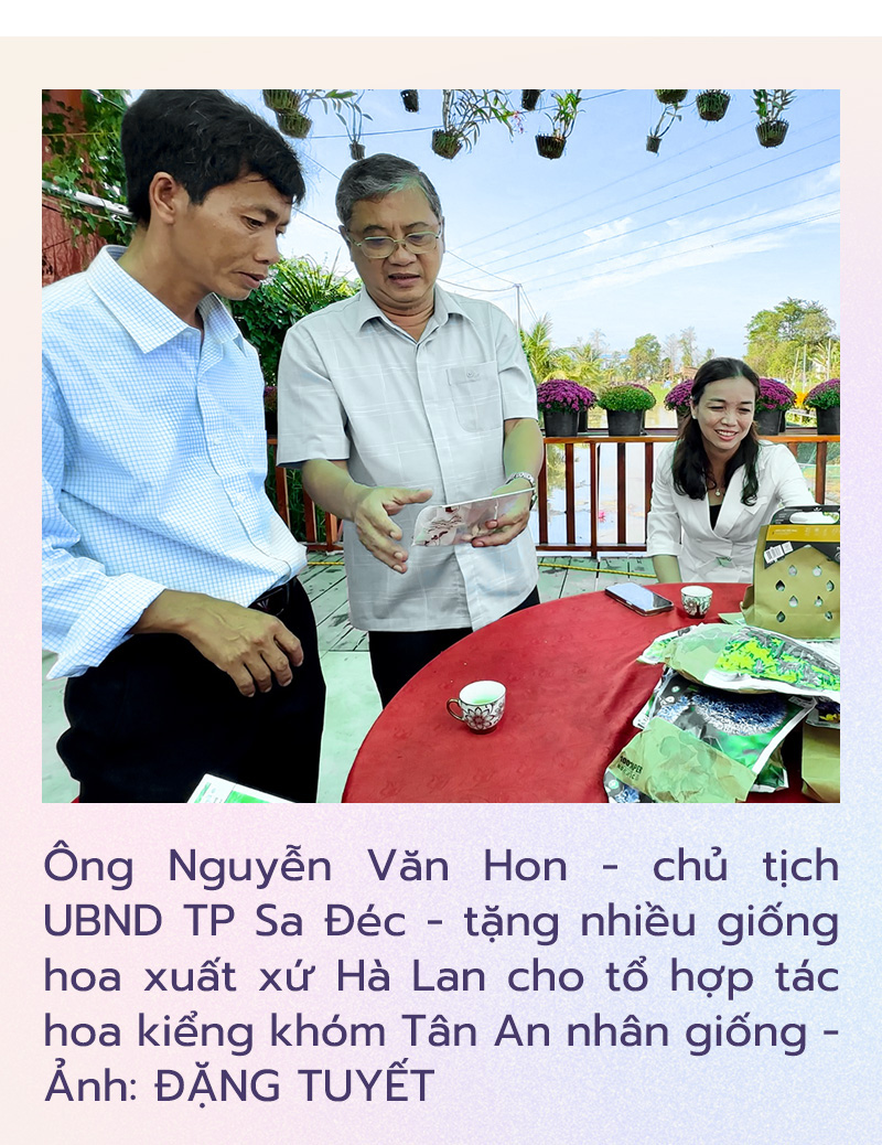 Hàng ngàn giỏ cúc mâm xôi nhiều màu cung ứng Festival hoa kiểng Sa Đéc- Ảnh 10.